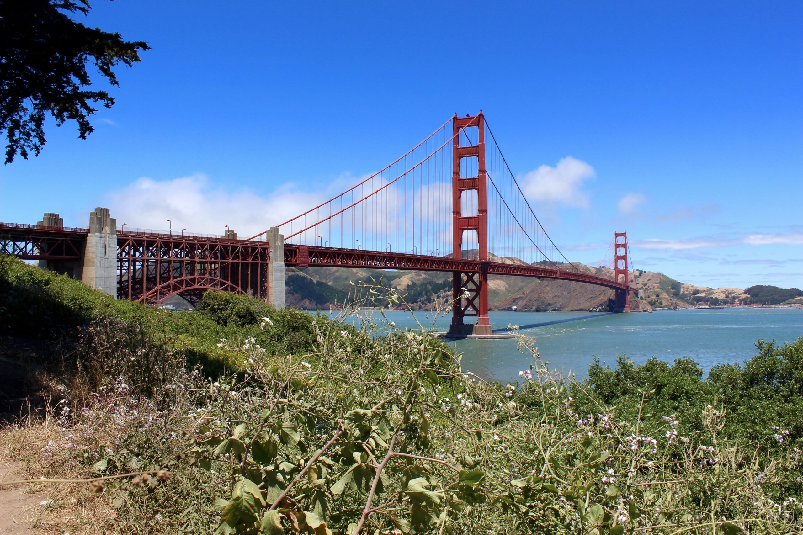 Meet other singles: 5-mile hike in the Presidio of San Francisco